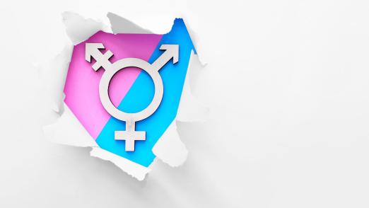 Forschung, Karl Landsteiner Privatuniversität, Transgender