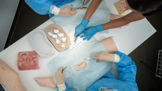 Neues Silikonmodell für das chirurgische Skillstraining